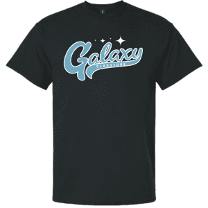 G200 Gildan Ultra Cotton T-Shirt - Black