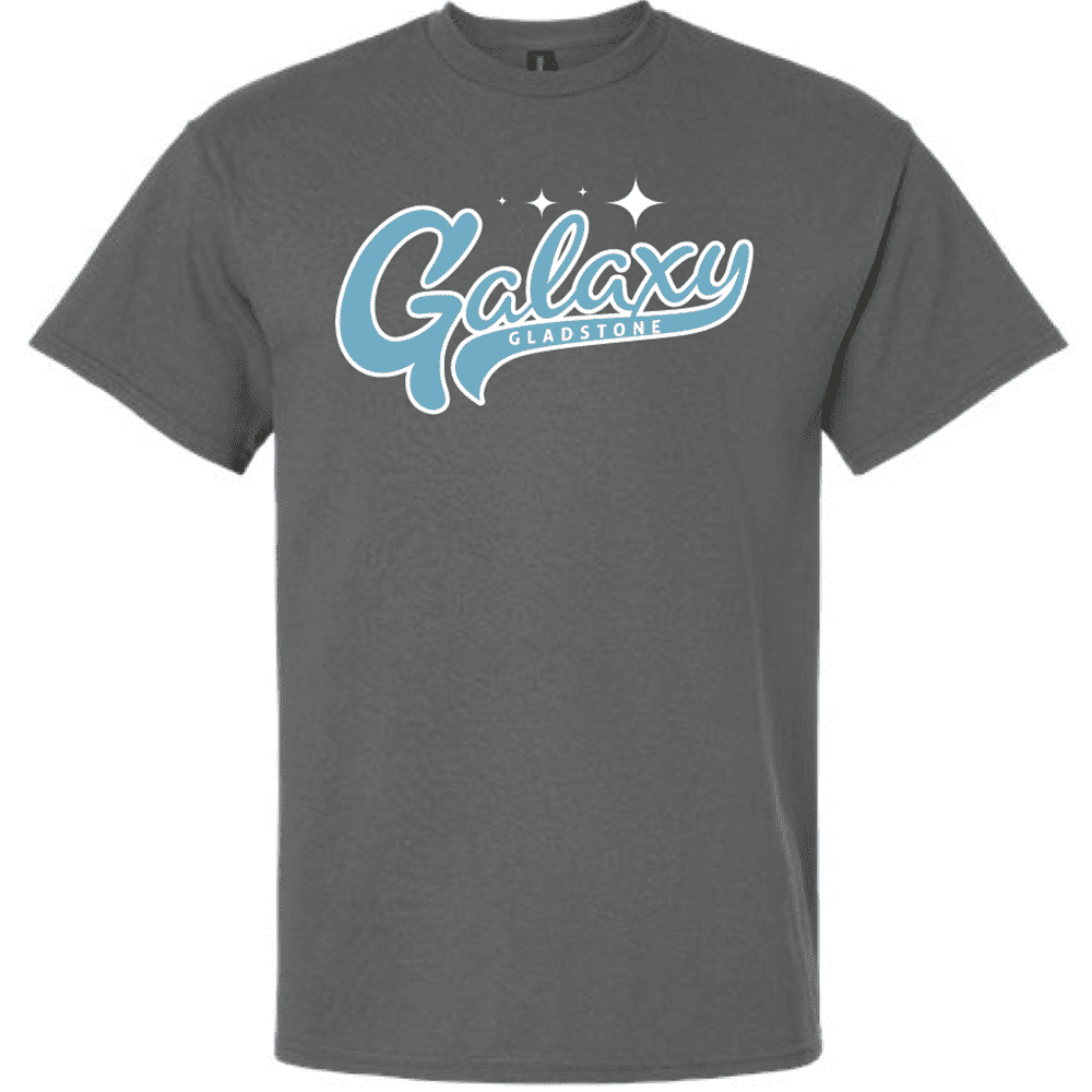 G200 Gildan Ultra Cotton T-Shirt - Charcoal