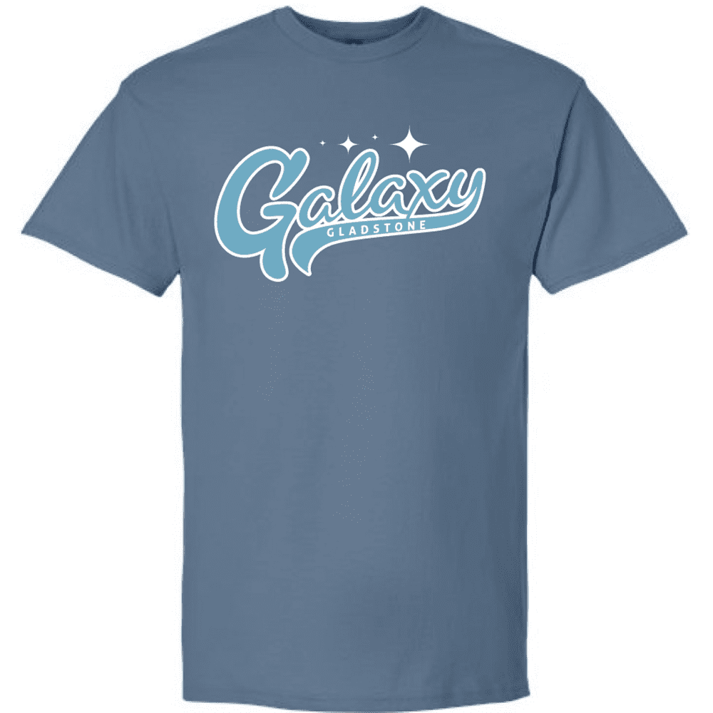 G200 Gildan Ultra Cotton T-Shirt - Indigo Blue